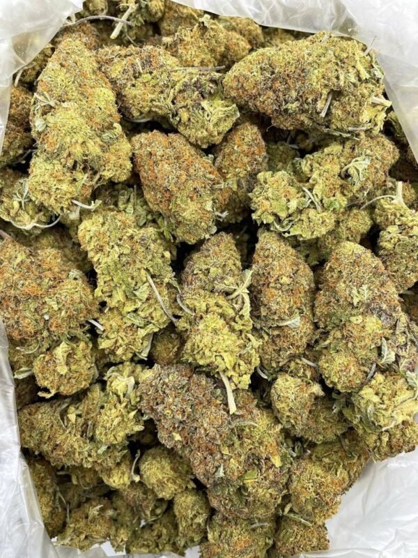 Star Platinum Strain