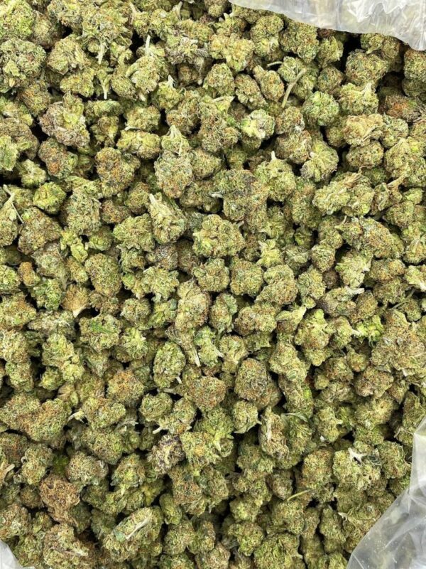 Strawberry Ice Pop Strain