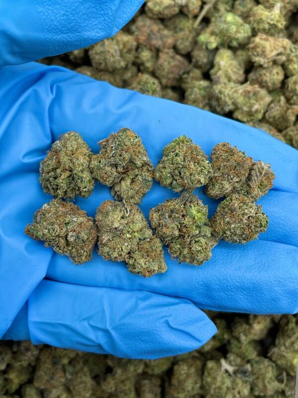 Strawberry Ice Pop Strain