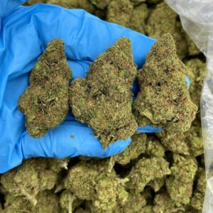 Tangy Taffy Pop Strain