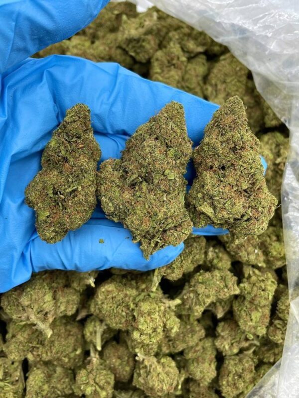 Tangy Taffy Pop Strain
