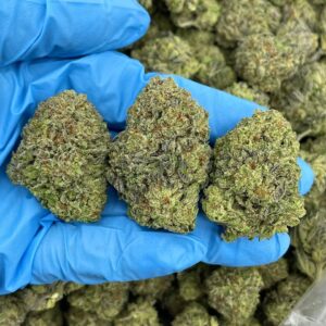 Truffle Whip Frenzy Strain