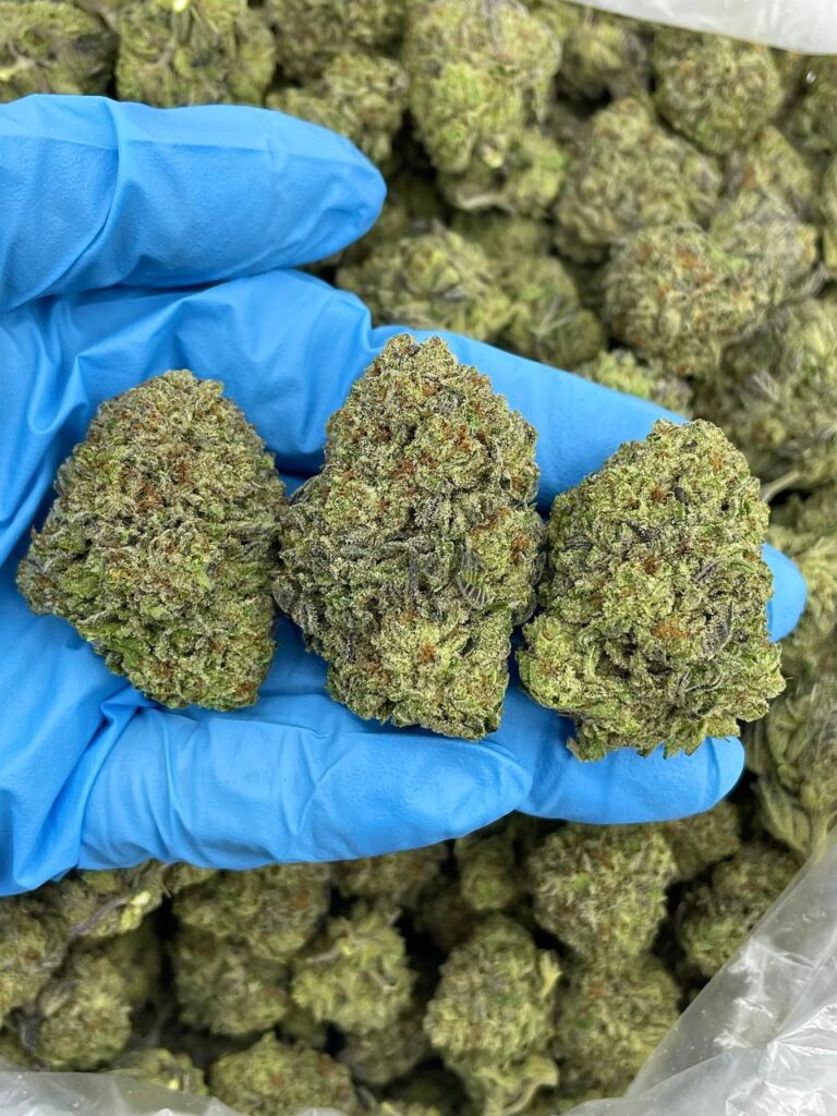 Home Truffle Whip Frenzy Strain
