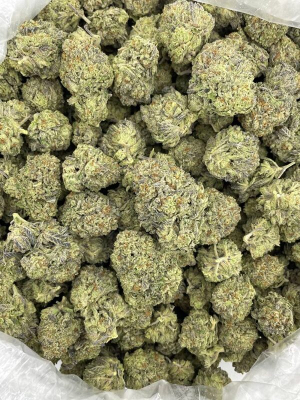 Truffle Whip Frenzy Strain