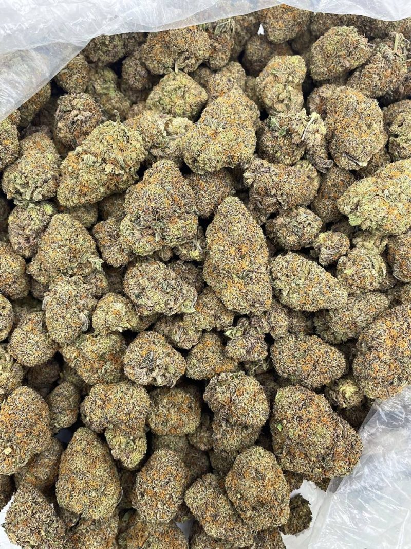 Vineyard Mimosa Strain