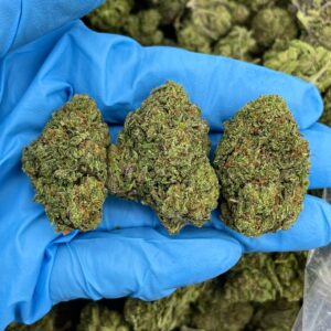 Zour Grape Ape Strain