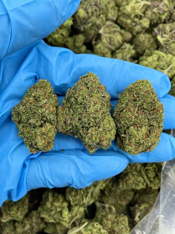Zour Grape Ape Strain
