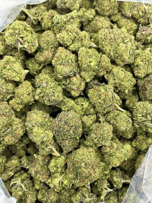 Zour Grape Ape - KE425G7 - Image 2