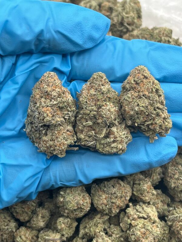 Bernie Mac Strain