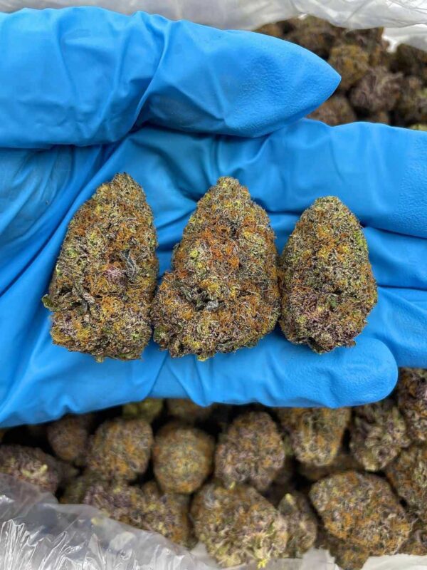 Berry Bazooka Strain