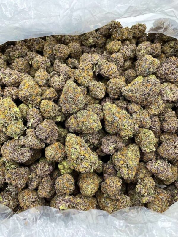 Berry Bazooka - FL429OT - Image 2