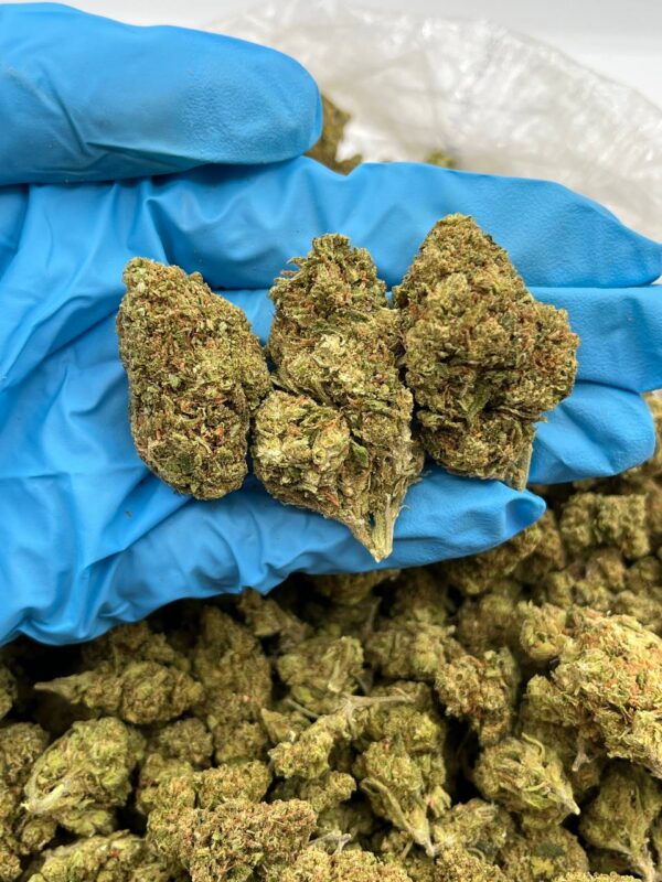 Cherry Burst Ring Strain