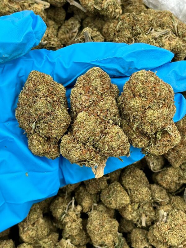 Cherry Lime Pop Strain