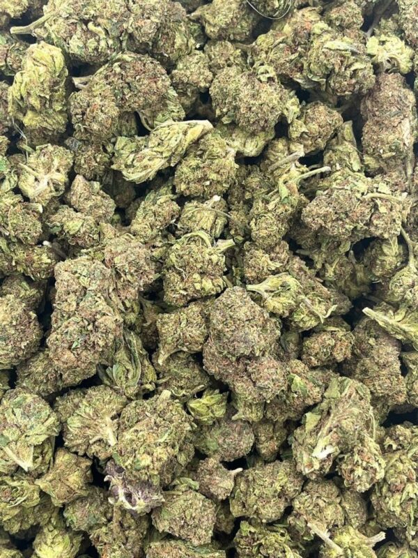 Green Lime Pie Strain
