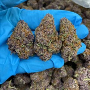 Jungle Juice Strain