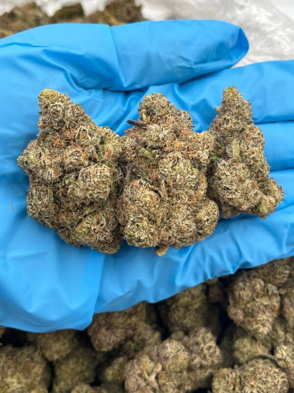 Berry Nerdz Strain