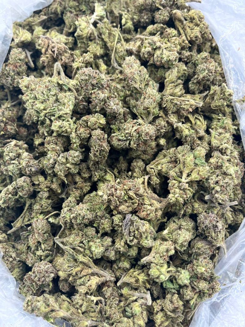 Lemon Cherry - CN508LO - Image 2