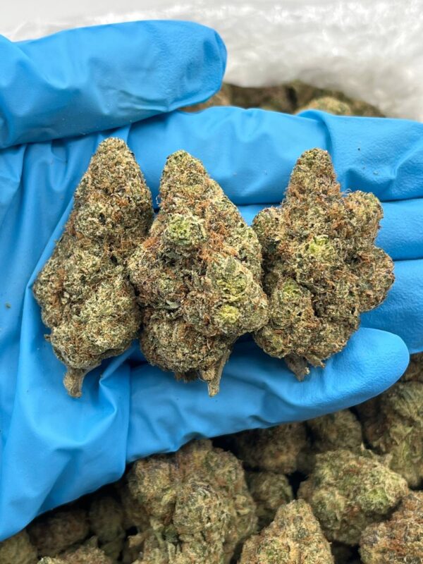Lemon Head Kush Strain