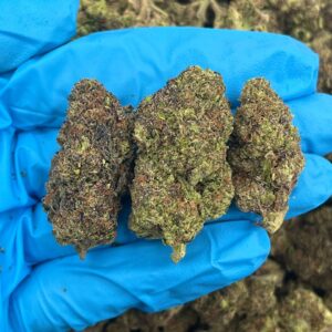 Neon Orange Express Strain