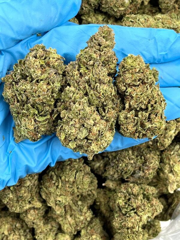 Passion Fruit Twist Strain