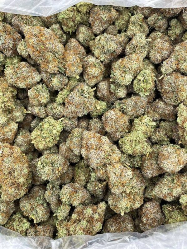 Rainbow Candy Cane Strain
