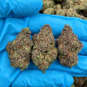 Wild Berry Swirl Strain