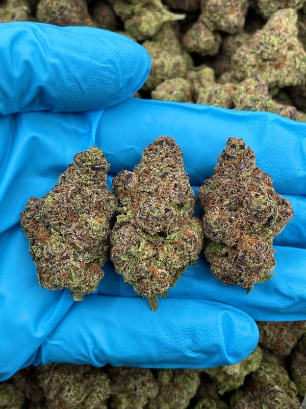 Wild Berry Swirl Strain
