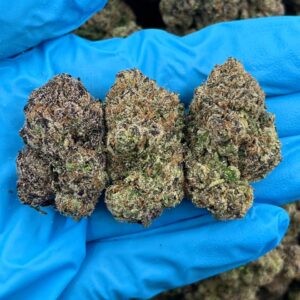 Blue Razz Zaza Strain