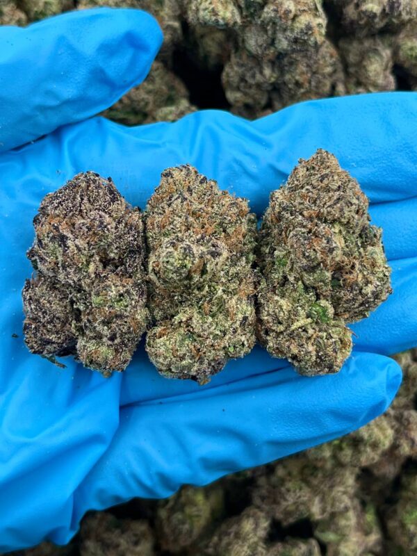 Blue Razz Zaza Strain