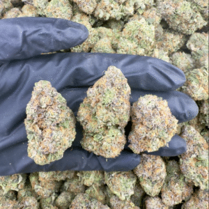 Candy Fumez Strain