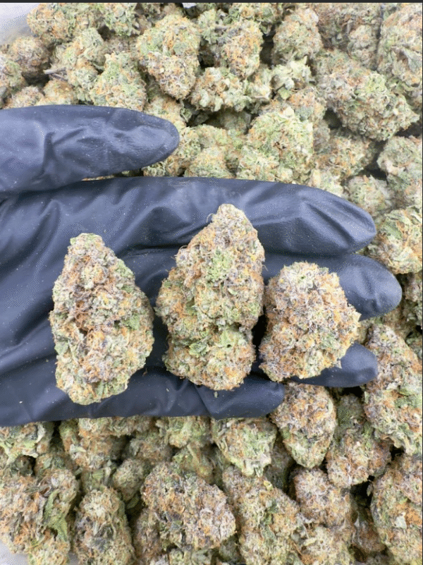 Candy Fumez Strain