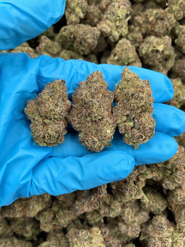 Cherry Zkittlez Strain