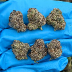 Crunch Berries Strain Smalls