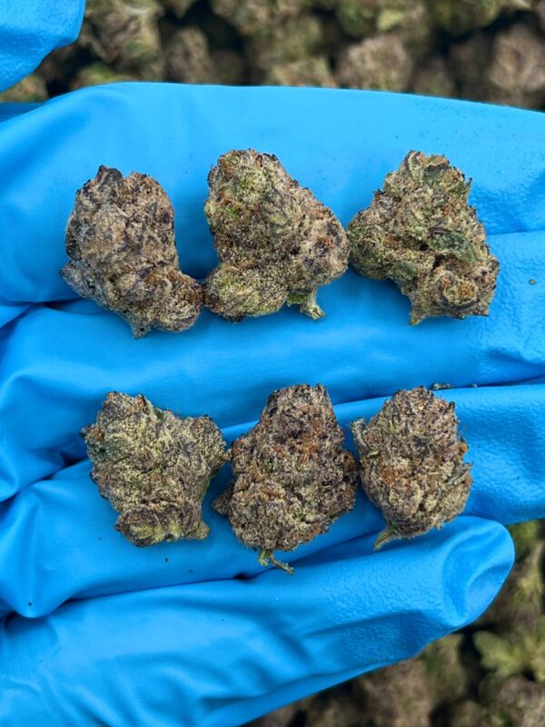 Crunch Berries Strain Smalls