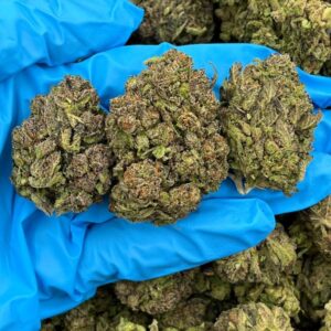 Emerald Runtz Strain