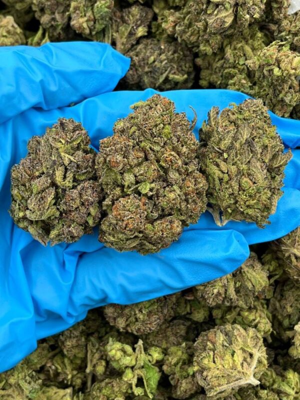 Emerald Runtz Strain