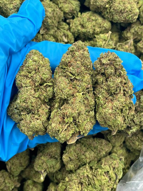 Frosted Apples Strain