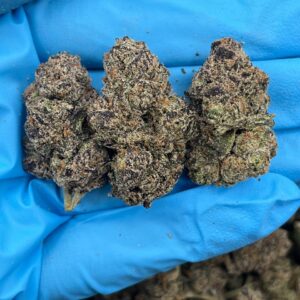 Giraffe Pussy Strain