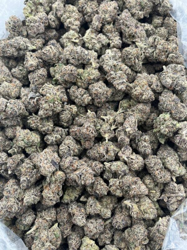 Giraffe Pussy Strain