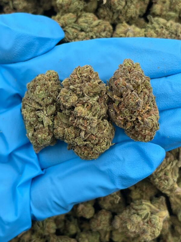 Grapefruit Crunch Strain