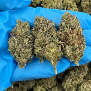 Kiwi Krush Strain