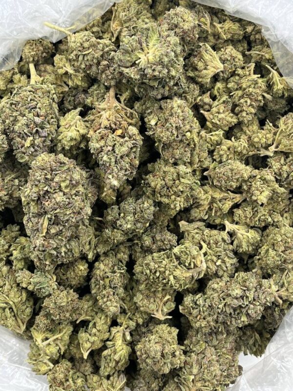 Kiwi Krush Strain