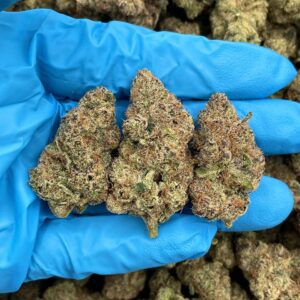 Limeade Candy Pop Strain