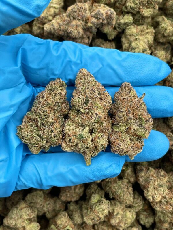 Limeade Candy Pop Strain