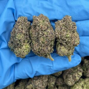 Peach Ring Strain