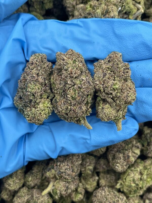 Peach Ring Strain