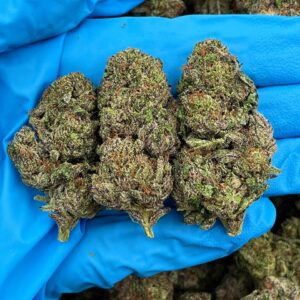 Purple Creamsicle Strain