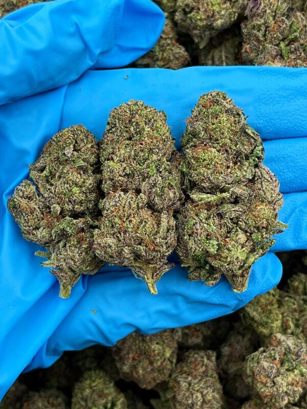 Purple Creamsicle Strain