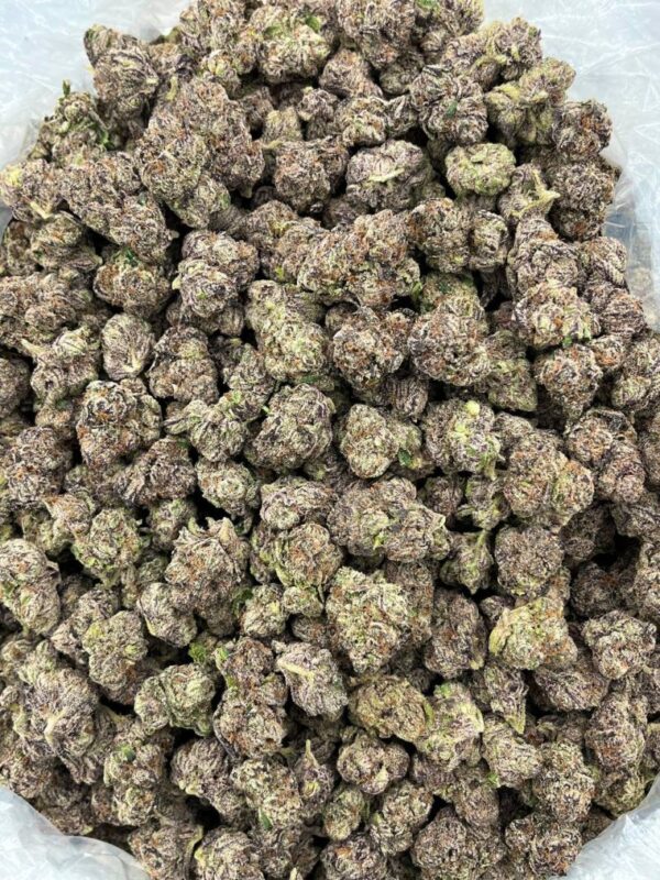 Queen Gelato Strain