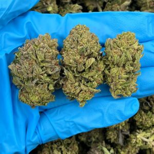 Rain Drop Strain